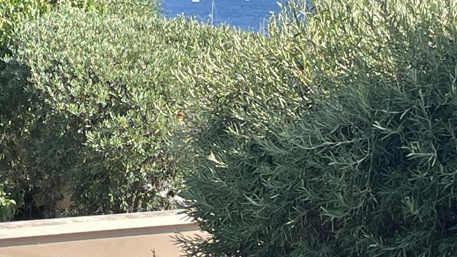 Studio Bandol 4 Couchages Centre Ville Vue Mer